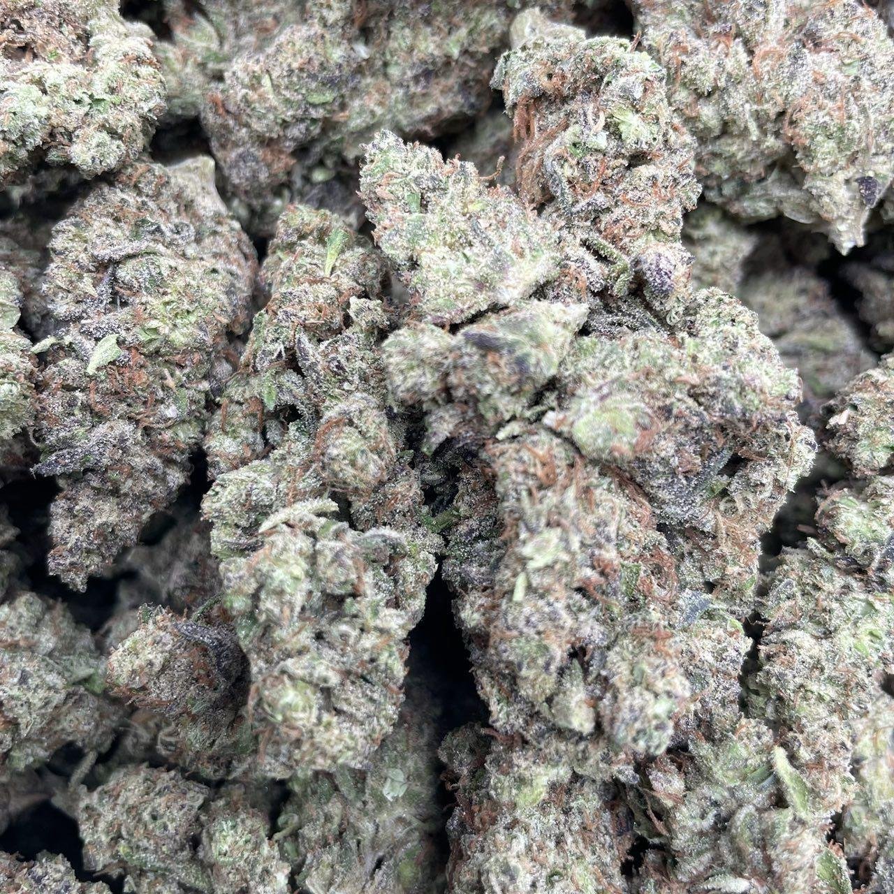 photo_2025-12-03_11-06-39 Dolato - Image 1