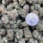 Skywalker OG [Smalls]