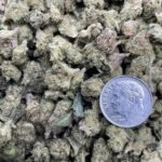 Sugar Cookies [Smalls]