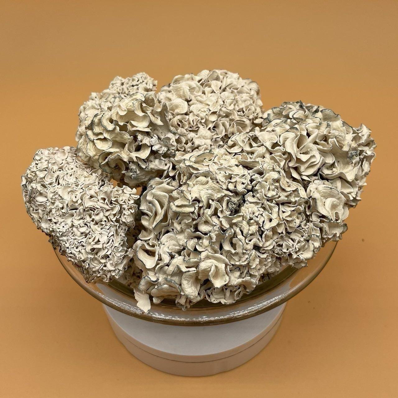 photo_2025-12-26_12-59-41 Enigma - Image 1