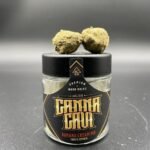 Canna Cavi Gold